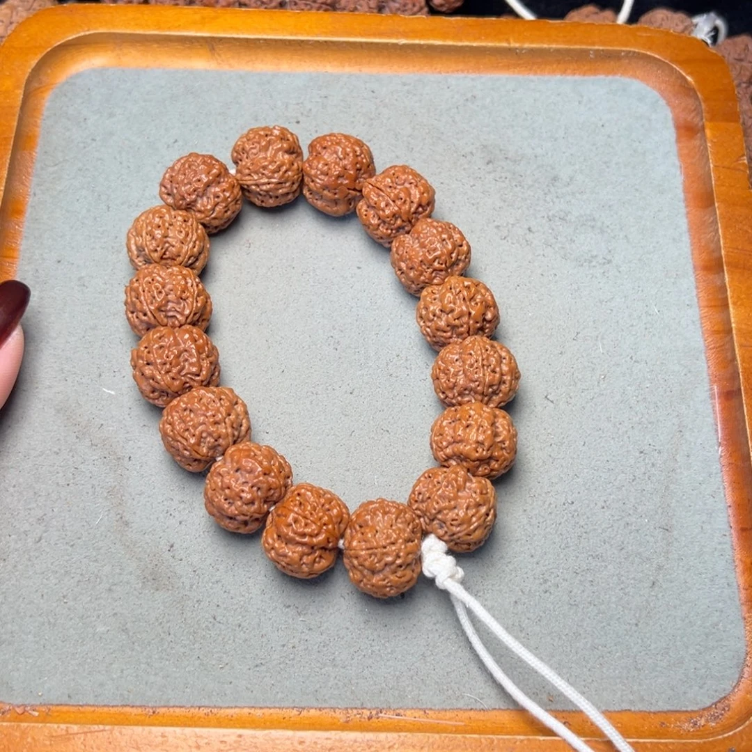 菩提16号金刚菩提满肉双龙20