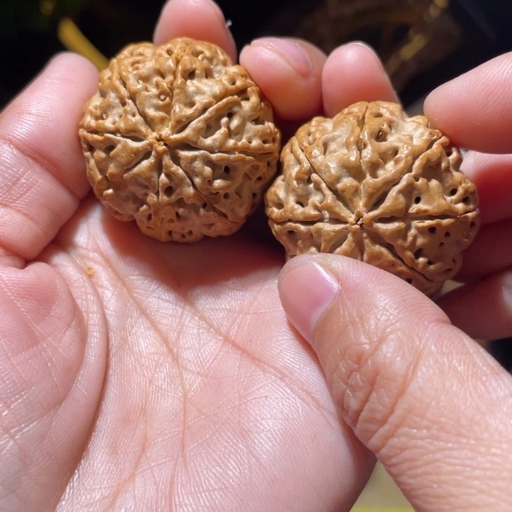 桃核把件八瓣金刚菩提断齿