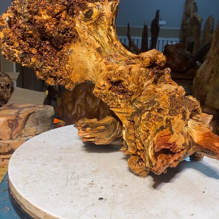 启*我们都是你的粉丝5