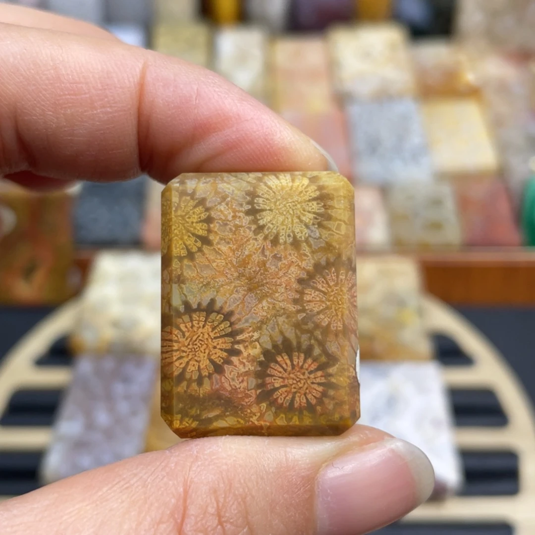 硅化玉未镶嵌颈饰k6