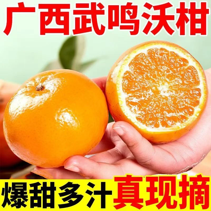 广西武鸣沃柑新鲜采摘应季水果带箱10斤带箱装孕妇水果