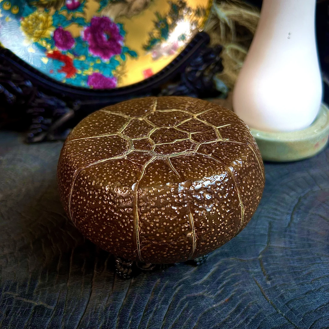 天然龟纹石摆件手把件茶宠壶承天然奇石