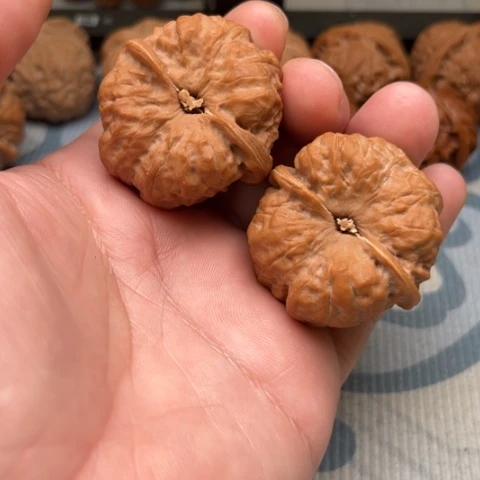 *****文玩核桃吊坠蛤蟆