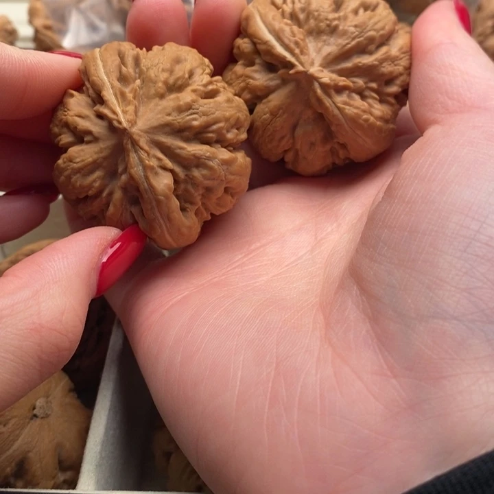 用***3文玩核桃把件霸王龙