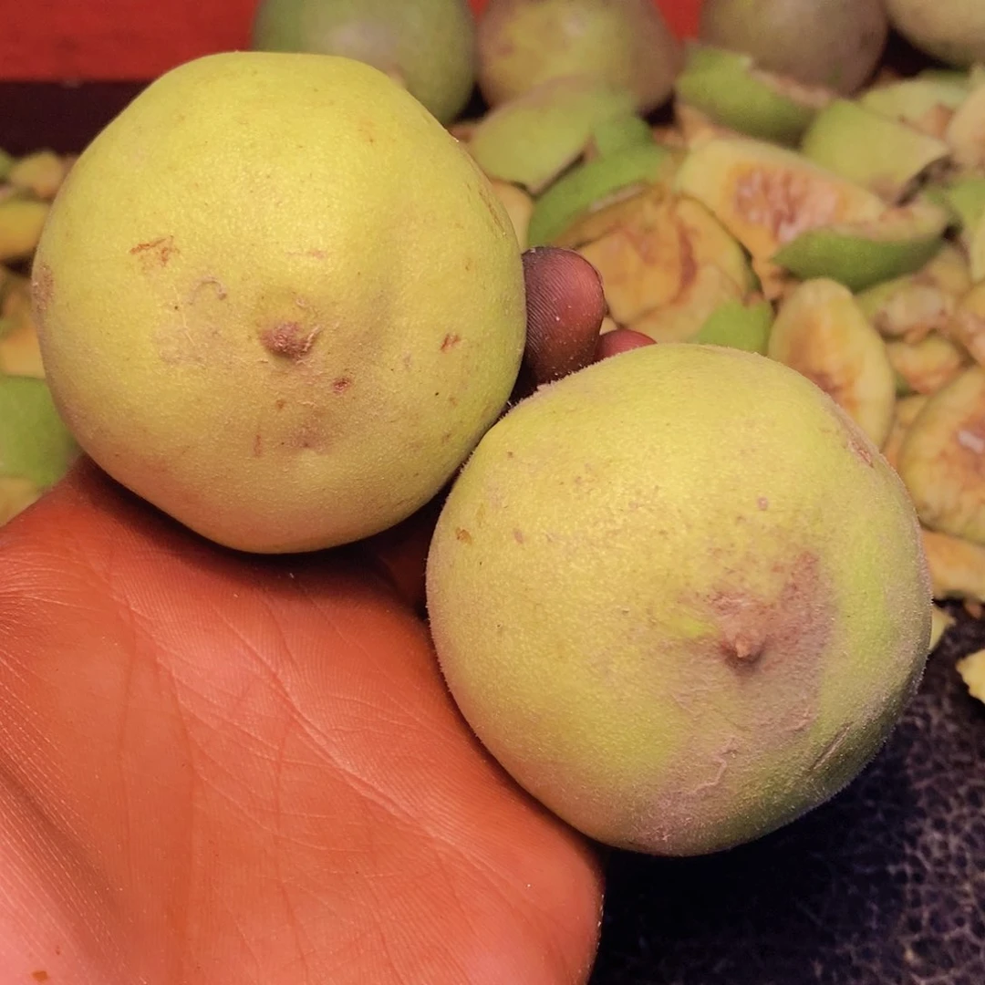 桃核吊坠文玩核桃，干干干