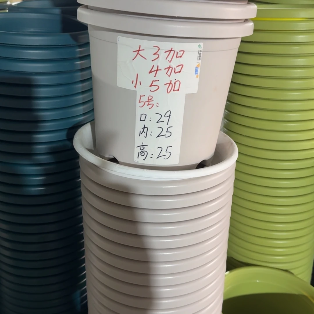 四季5#口径29无拖灰白10个