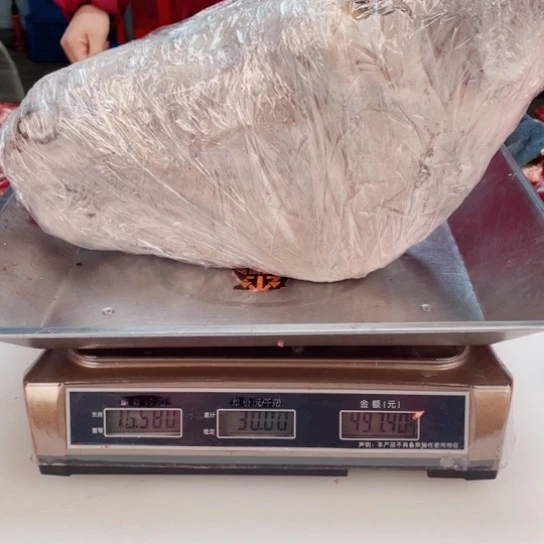 【闪购商品】冷冻保存30天包装河北省