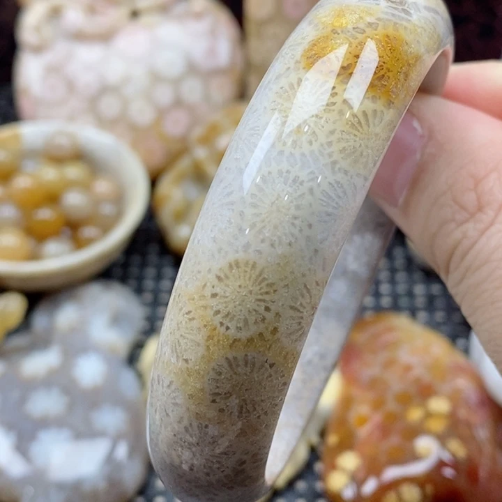 硅化珊瑚（珊瑚玉）颈饰未镶嵌57