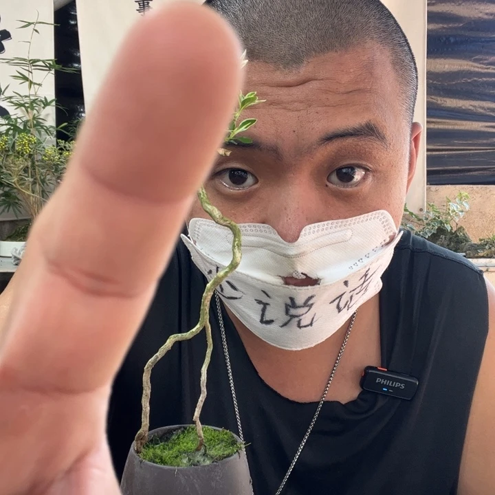 ****话无花朵退款拉黑拉黑8
