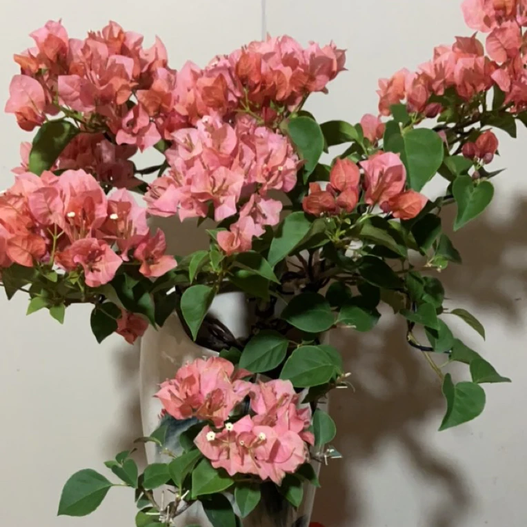 陶瓷造型不甜西瓜