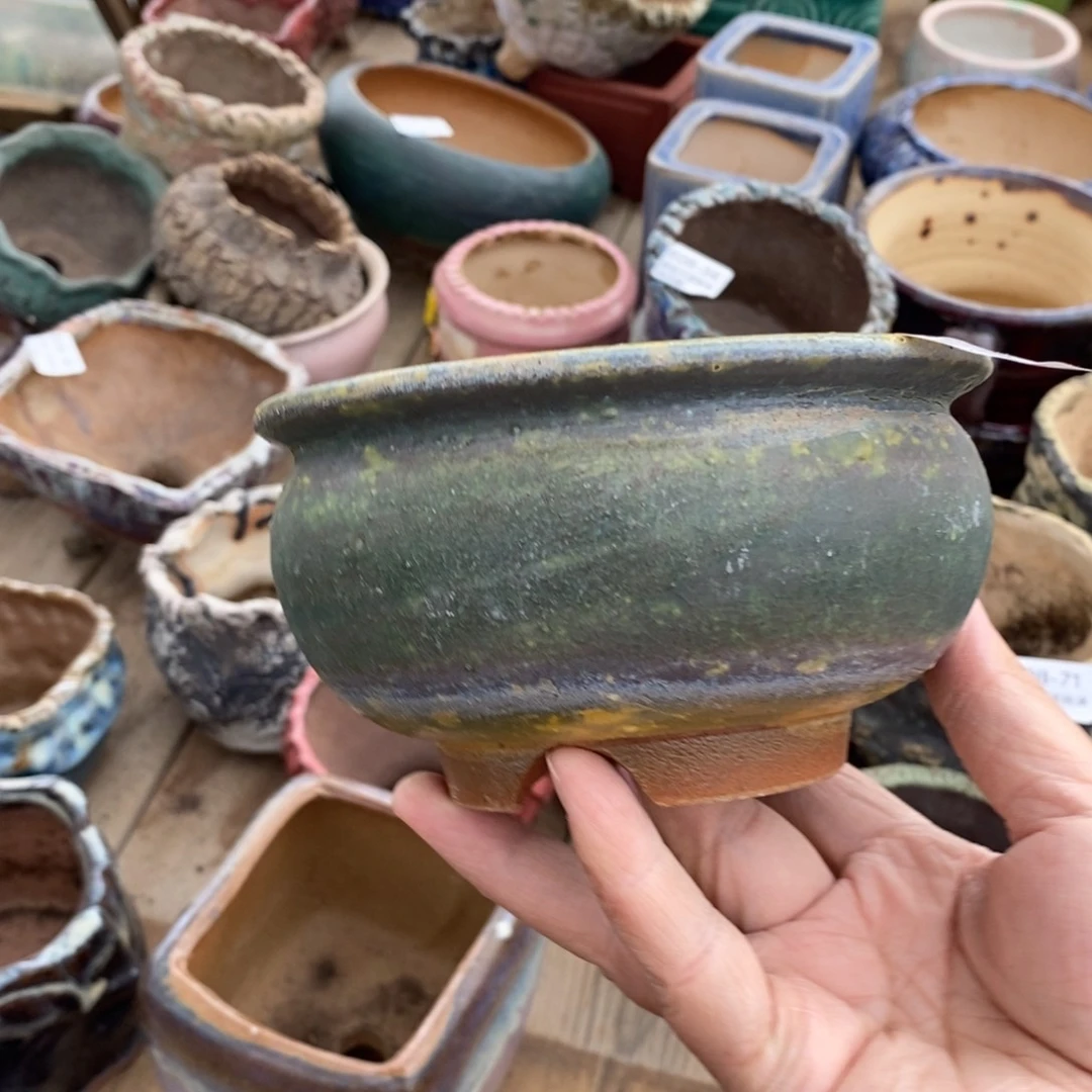 72号多肉盆口径11高8