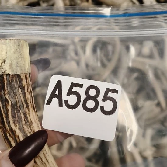 广***静鹿角鹿角鹿角鹿角鹿角