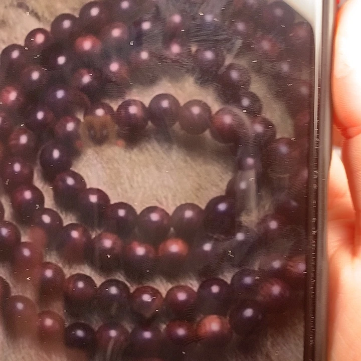 黄花梨/降香黄檀走***着海南