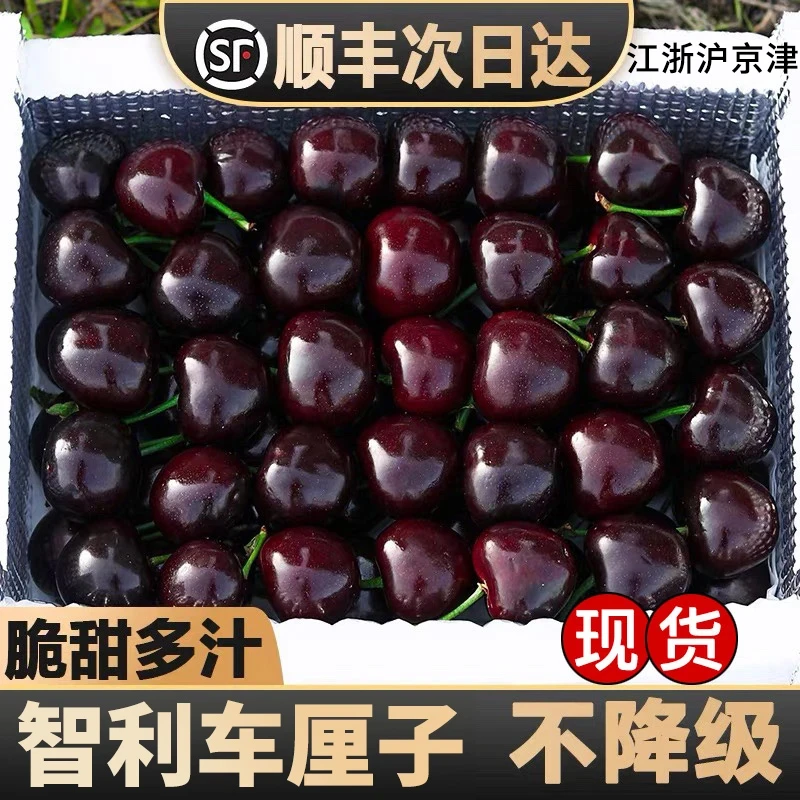 【顺丰】3JDD智利空运车厘子新鲜水果进口大樱桃斤内附果径卡