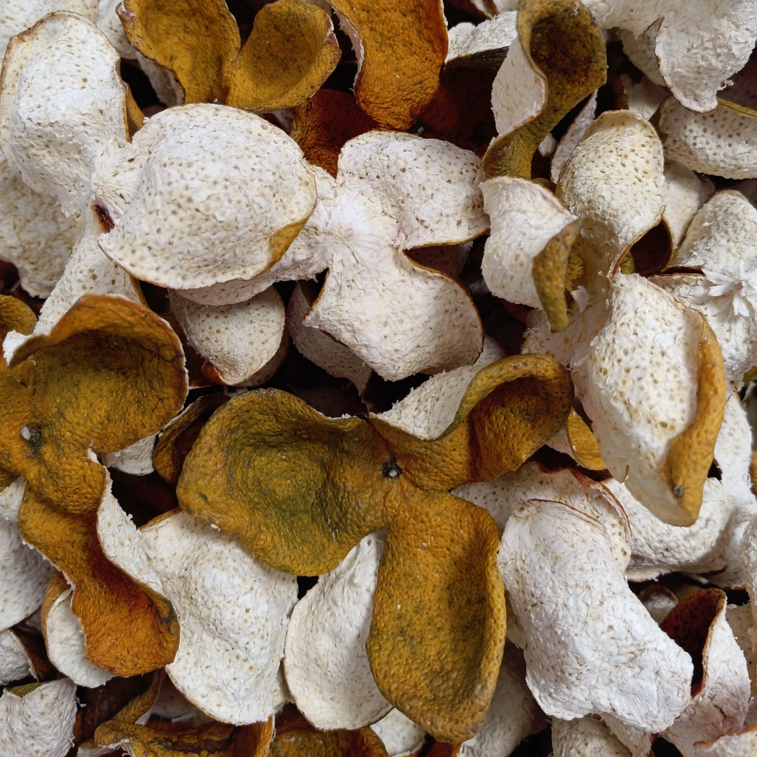 2024年新会天马圈枝二红皮（伴手礼、收藏）