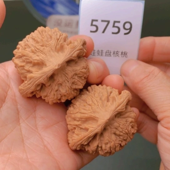 把件文玩核桃46官帽5759