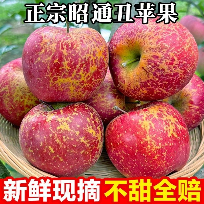 云南昭通冰糖心丑苹果新鲜现摘脆甜多汁当季水果包邮