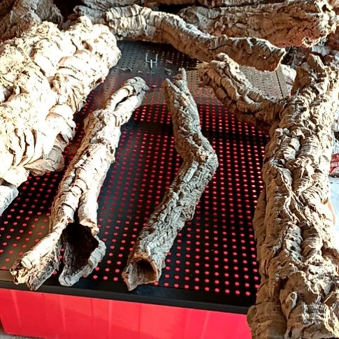 一物一拍一物一发