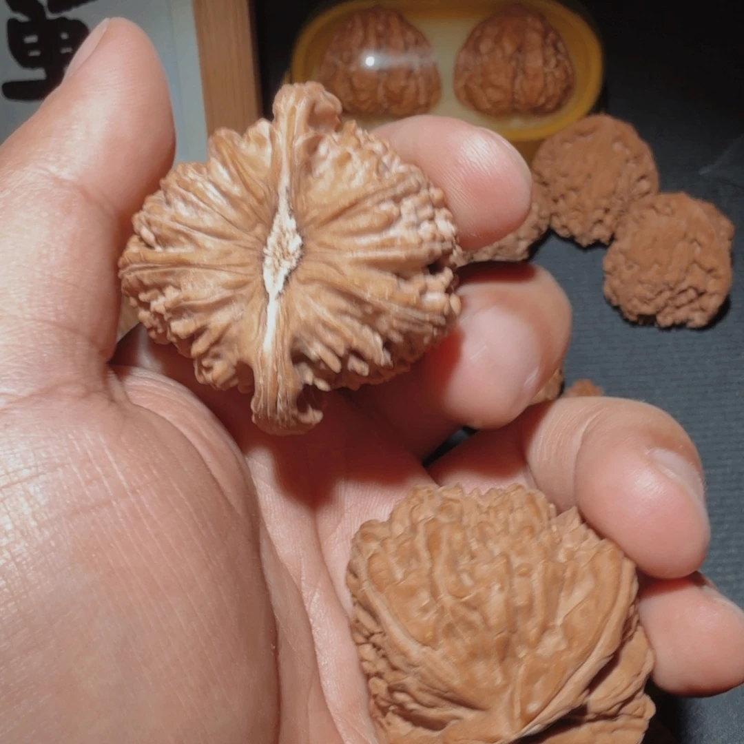 轻***、文玩核桃把件41.5白狮子