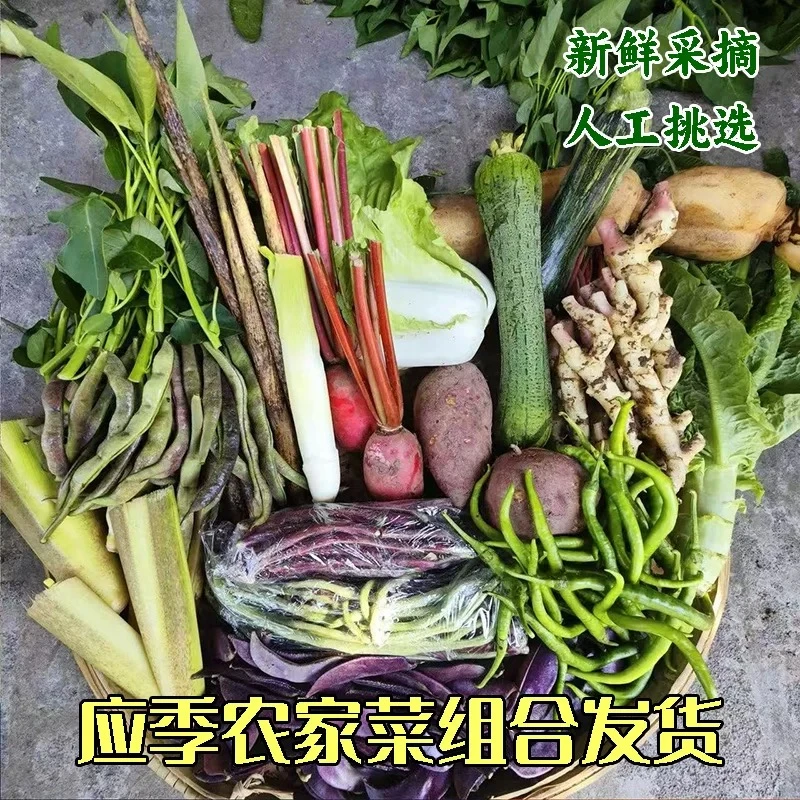 湖南蔬菜组合农家自种时令混搭包新鲜组合蔬菜混合农家菜