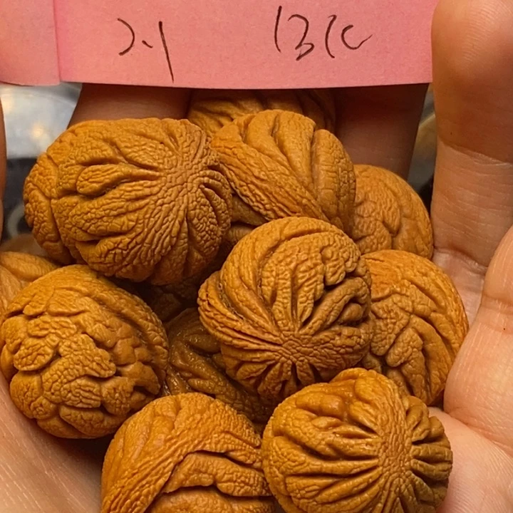 吊坠桃核秦岭龙纹桃核21尺寸