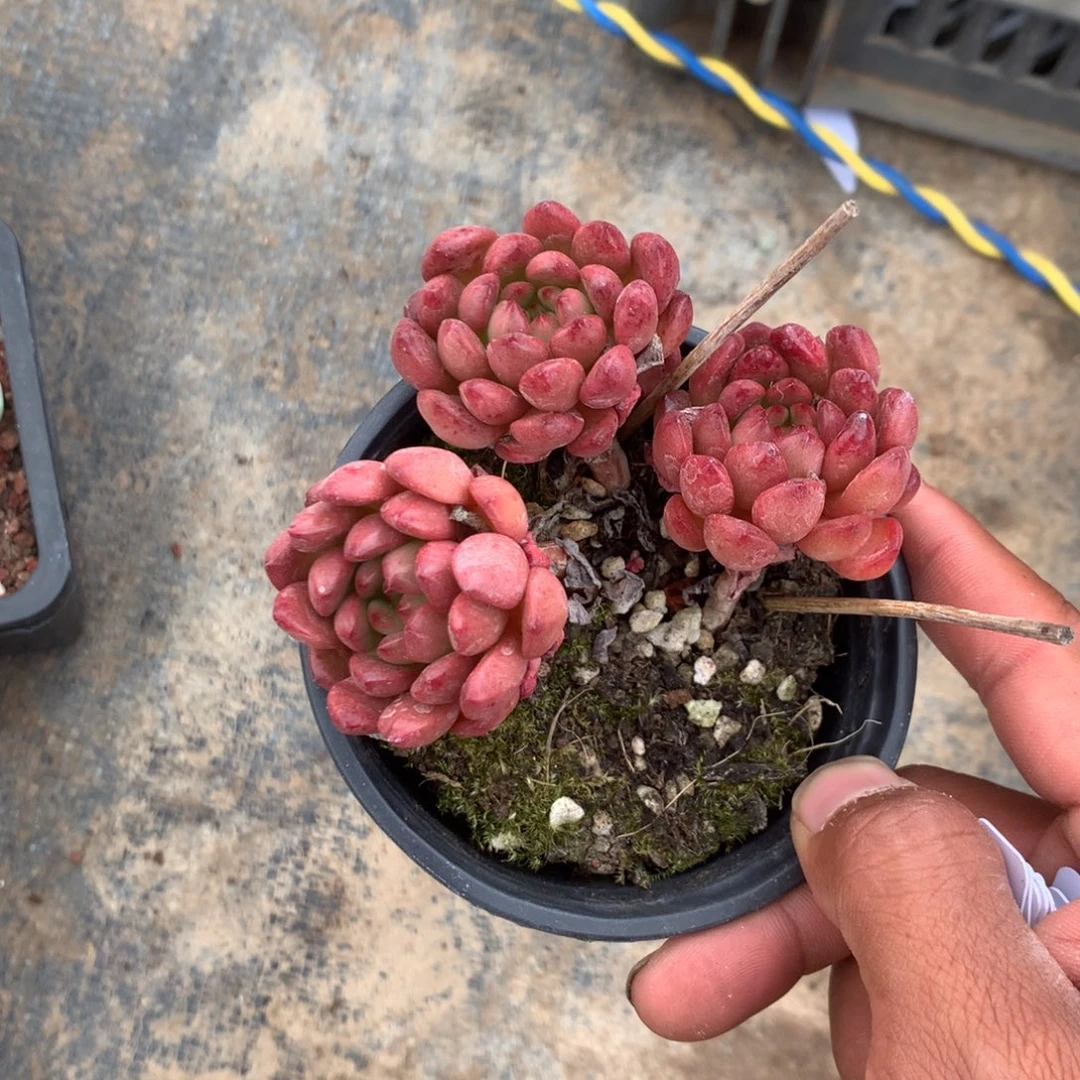 我们就能成为好老师和