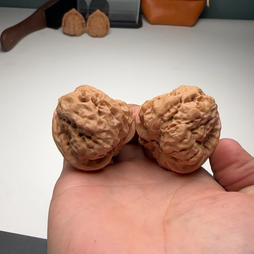 39-42-39蟾型好开背3号