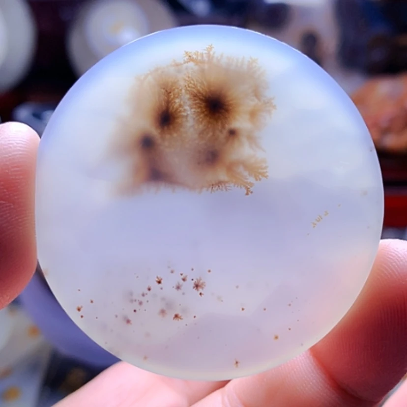 【闪购商品】玛瑙/玉髓颈饰未镶嵌