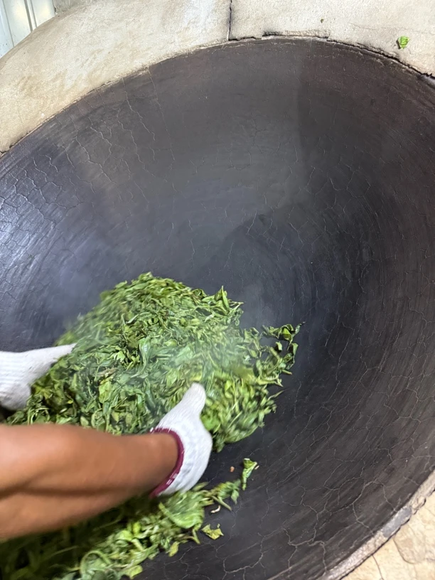 冰岛坝歪53号:新人福利200克散料