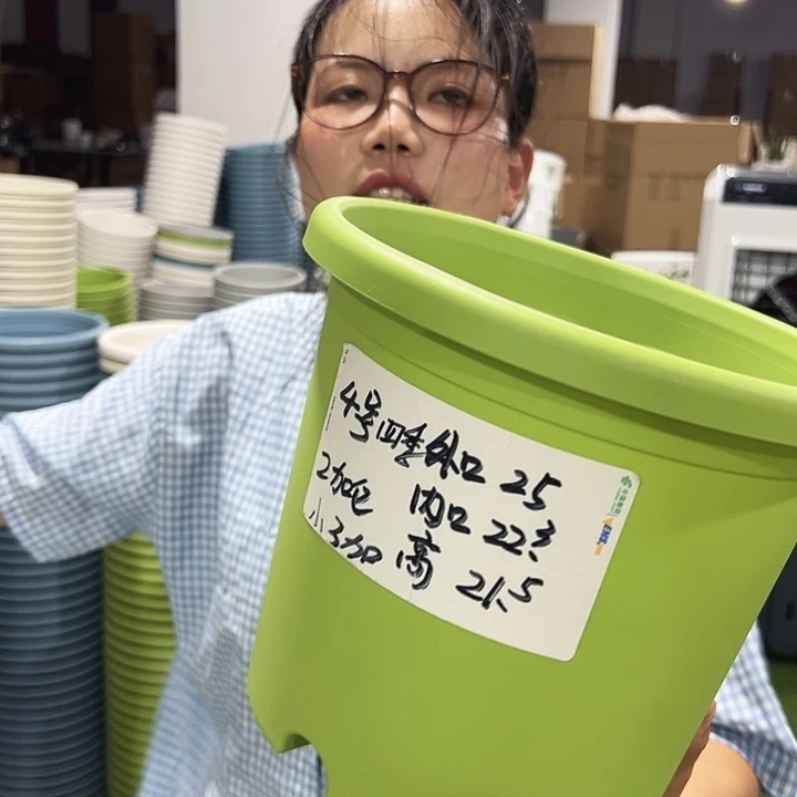 特价4号四季口25高21.5果绿八只无托