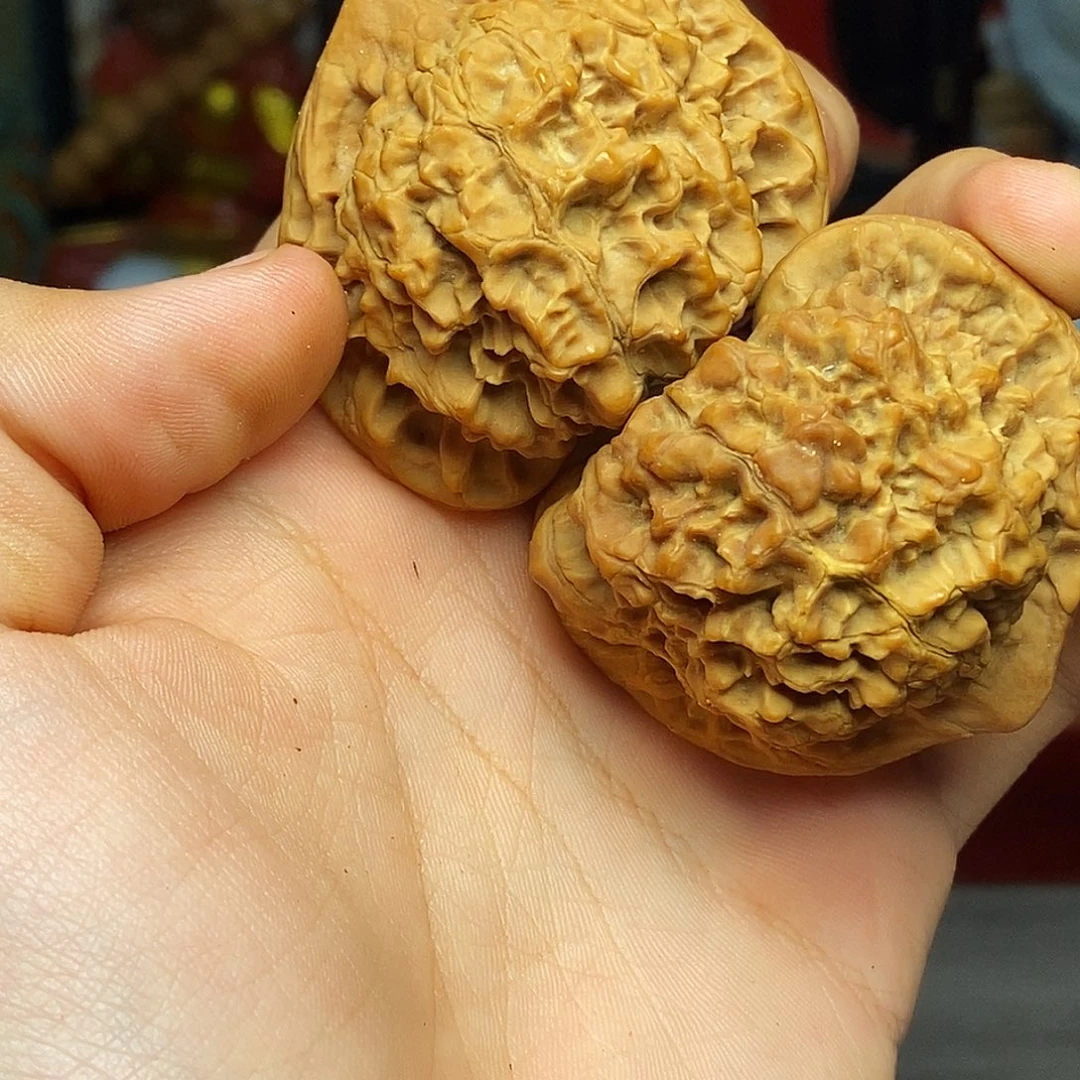 橄榄核手串/手链hhjjjjjjjjjjjjjjjjbnn