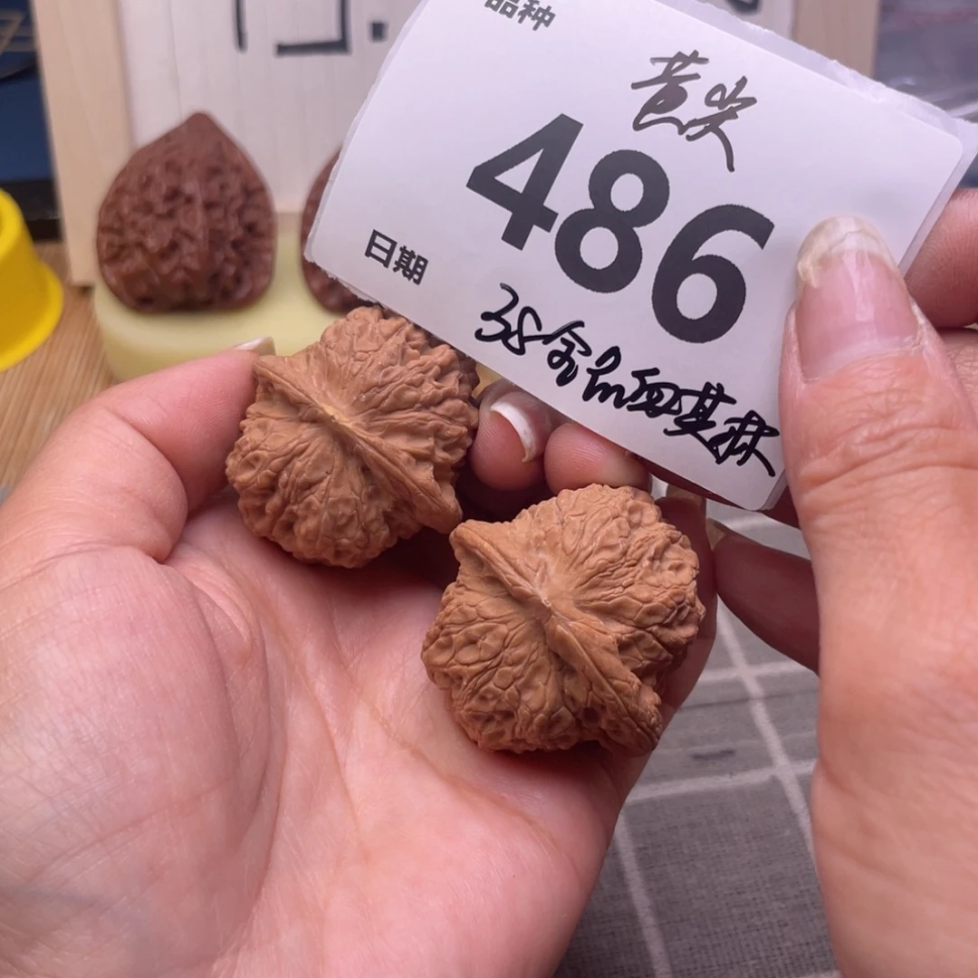 把件文玩核桃486号38全品血麒麟