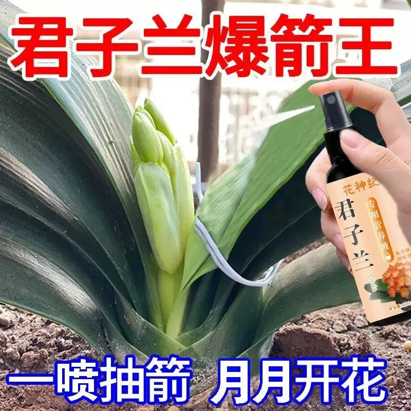 君子兰金钱树营养液促箭催花防黄叶烂根免稀释专用肥料下垂蝴蝶兰