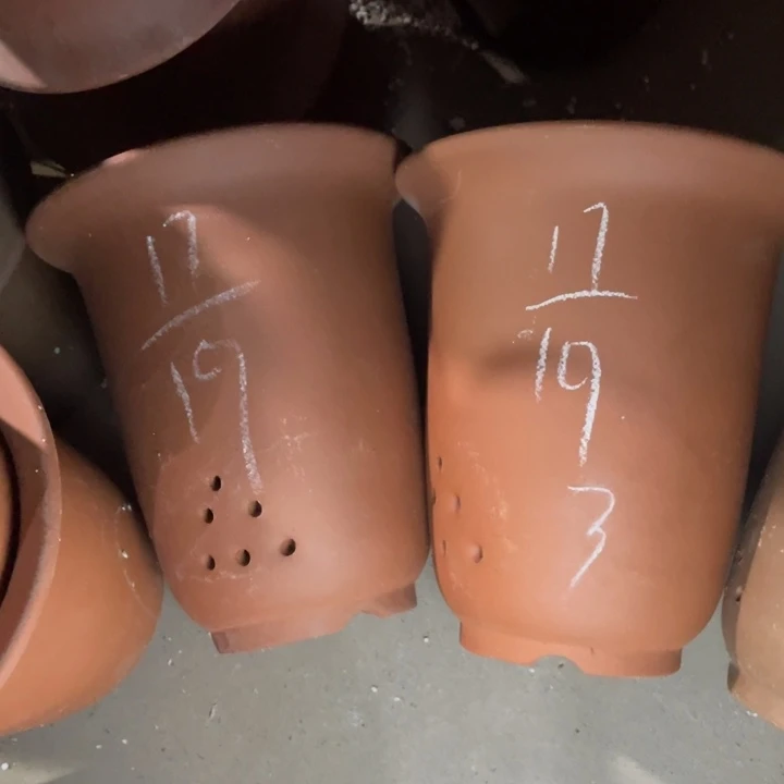 周深周深周深周深