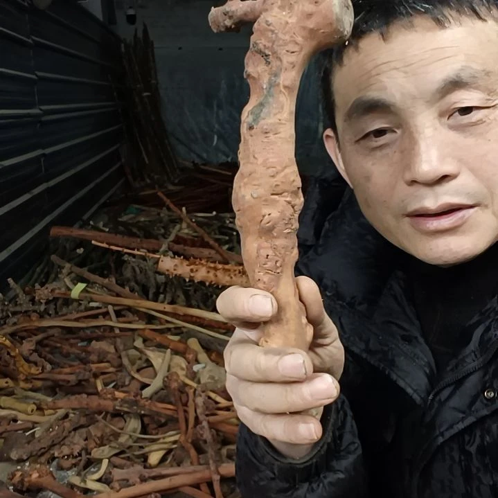 稳定木?****?贵州檬子木   铁马鞭   根艺  半成品