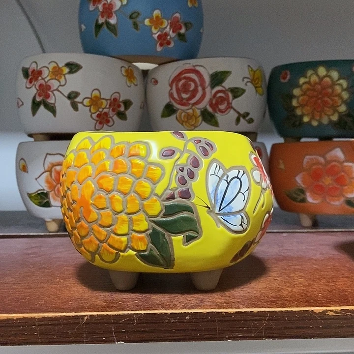 韩式多肉植物花盆