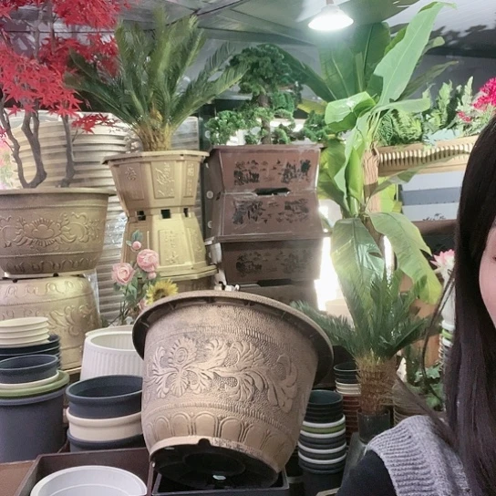 复合盆景08556555655