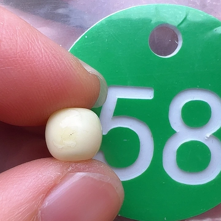 蜜蜡裸石未镶嵌花粉7.7m m