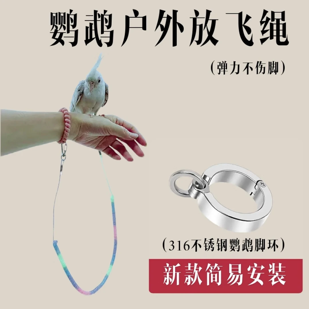 鹦鹉户外放飞绳316不锈钢新款鹦鹉脚环玄凤牡丹脚环外出绳