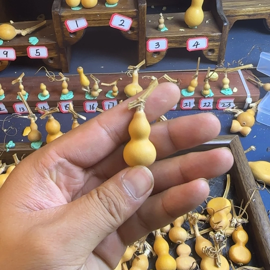 七*吖我也是很喜欢这个节目的呢