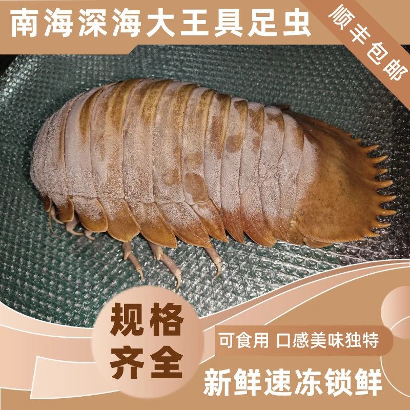 大王具足虫顺丰包邮神秘外星龙虾新鲜鲜活冷冻可礼盒