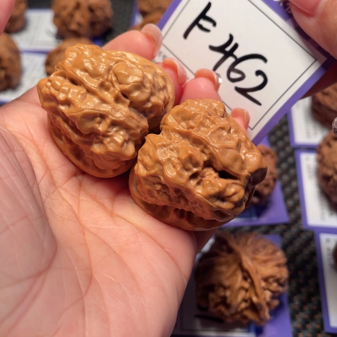 桃核把件462号蛤蟆37