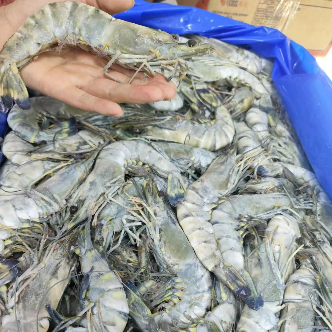 大黑虎虾 一斤9个左右  55元大虾