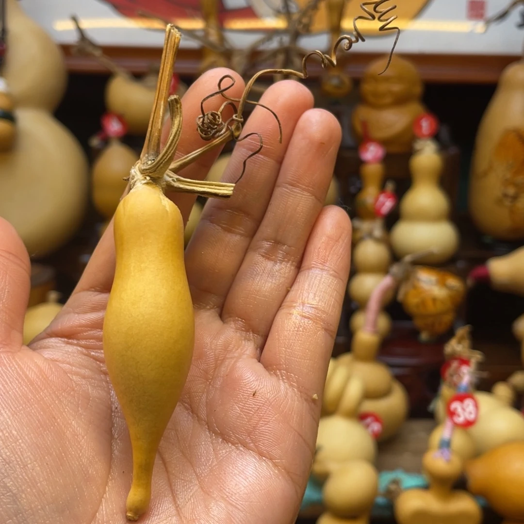 就****.葫芦等经济林木生长在高山草甸的灌木