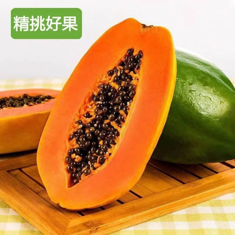 广西冰糖红心木瓜树上熟现摘放熟后食用软甜牛奶水果木瓜带箱5斤