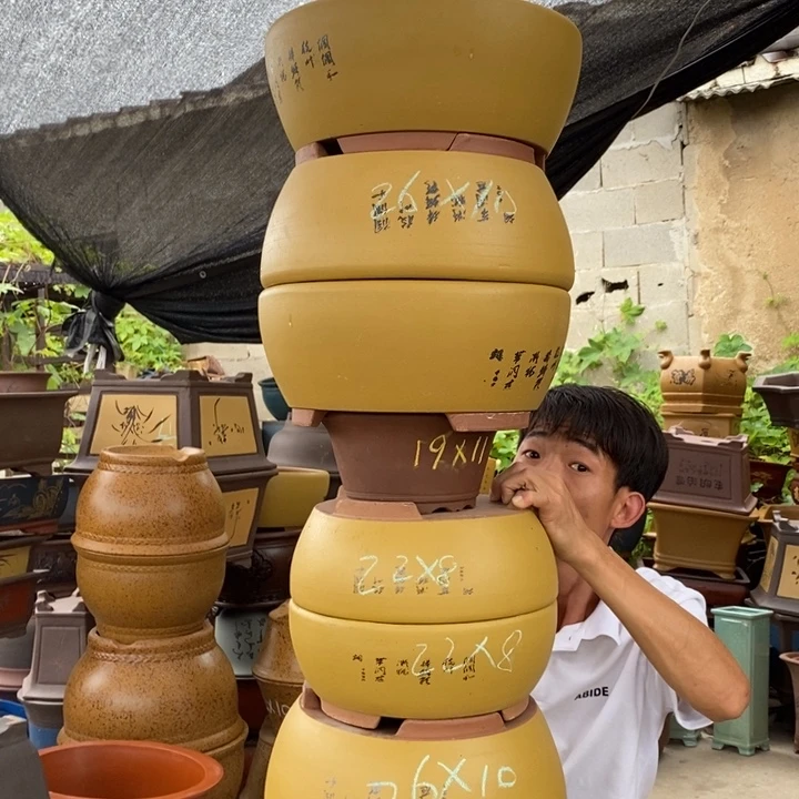 花盆紫砂紫砂艺术学院的学生时代
