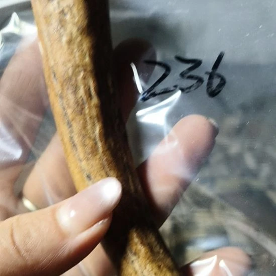 顺***心非金属无鹿角鹿角鹿角鹿角鹿角鹿角