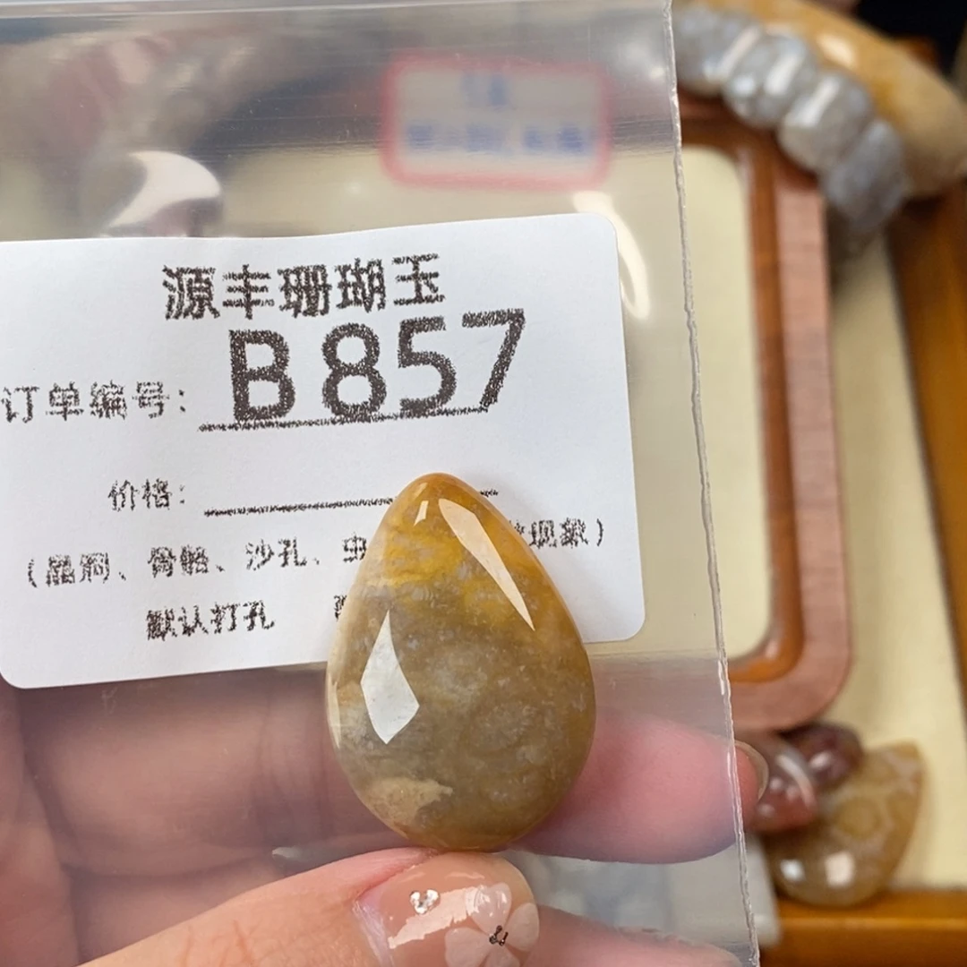 泥***家未镶嵌颈饰硅化玉