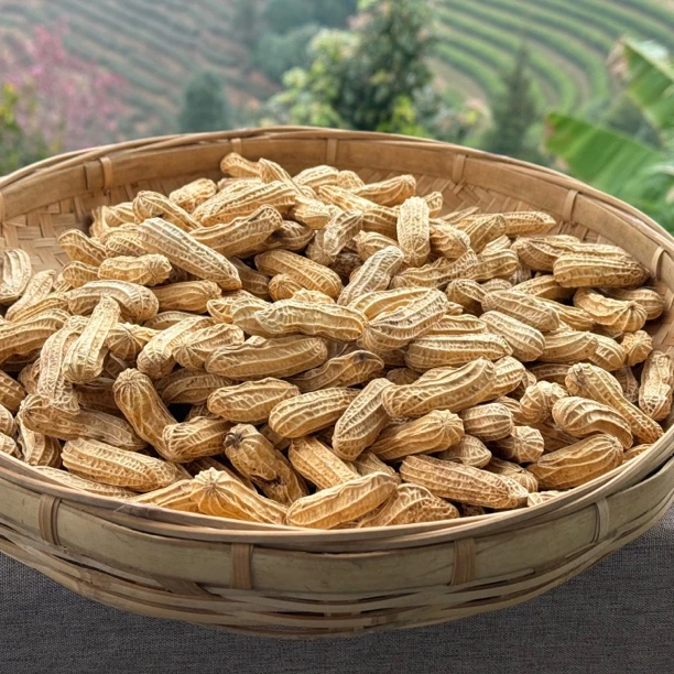 那那的黑花生（4斤装）