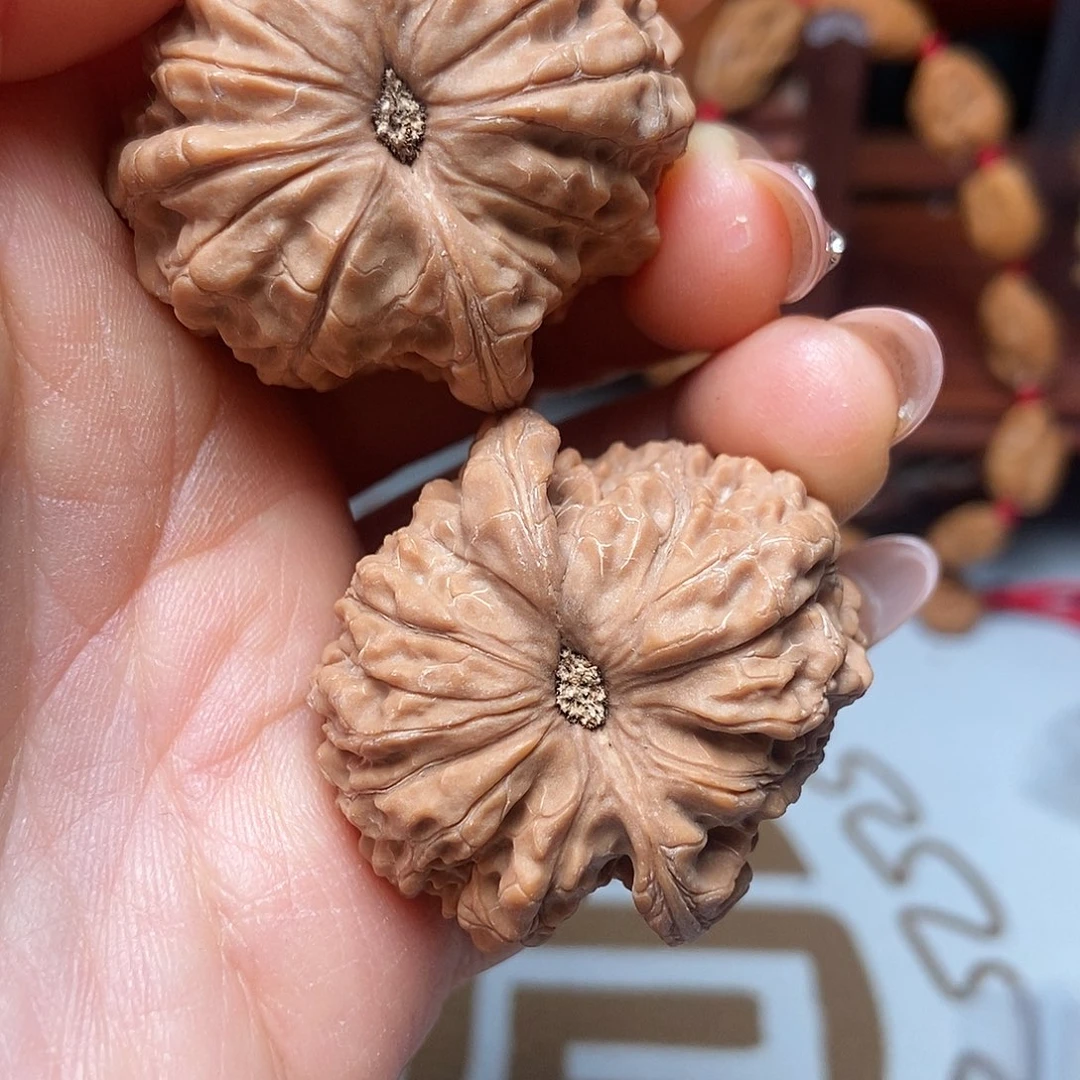美***居大叶紫檀（黑酸枝木类）血麒麟全品